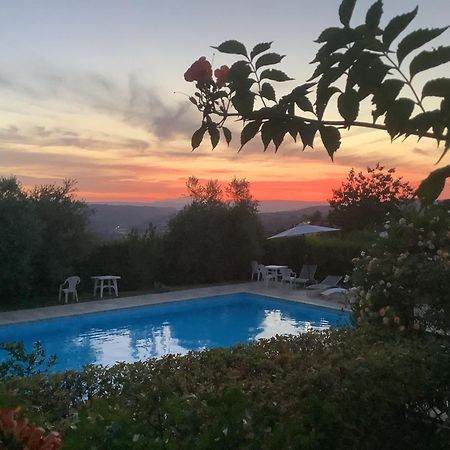 Le Macchie Villa Baschi Dış mekan fotoğraf