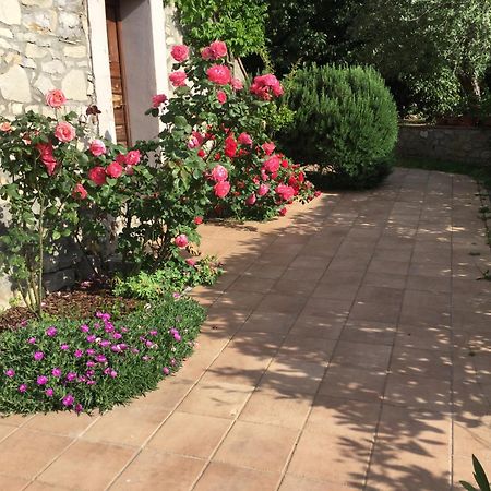 Le Macchie Villa Baschi Dış mekan fotoğraf
