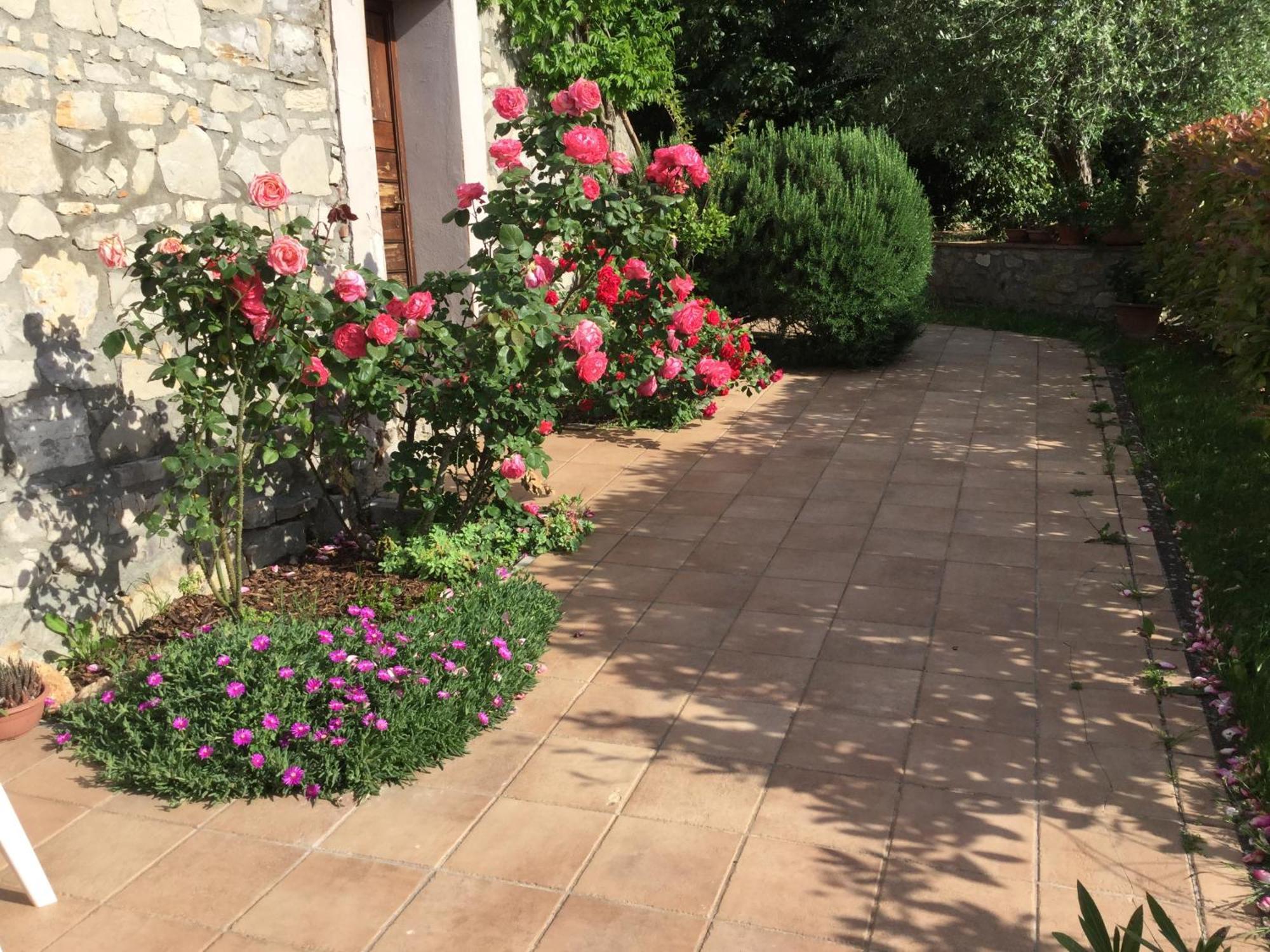 Le Macchie Villa Baschi Dış mekan fotoğraf